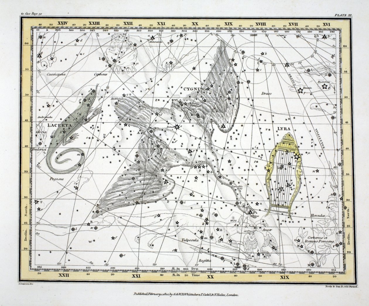 Constellations (levy XI) Cygnus, Lacerta ja Via Lactea, Alexander Jamiesonin "A Celestial Atlas", pub. Lontoo 1822 (käsinvärinen kaiverrus) tekijältä Alexander Jamieson