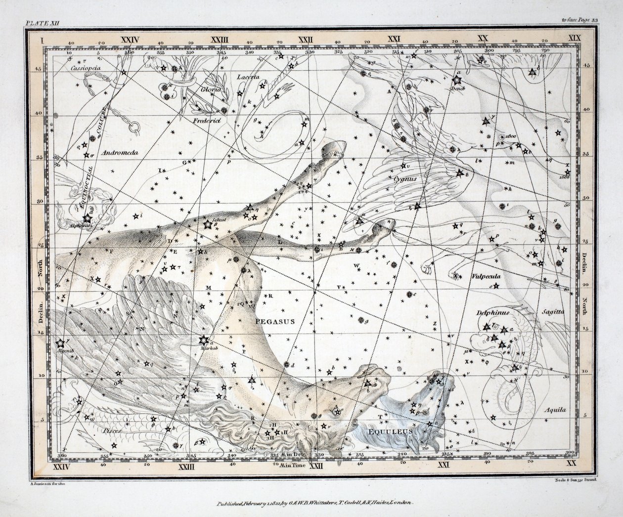 Tähtikuviot (levy XII) Pegasus ja Equuleus, Alexander Jamiesonin "A Celestial Atlas", pub. Lontoo 1822 (käsin väritetty kaiverrus). tekijältä Alexander Jamieson