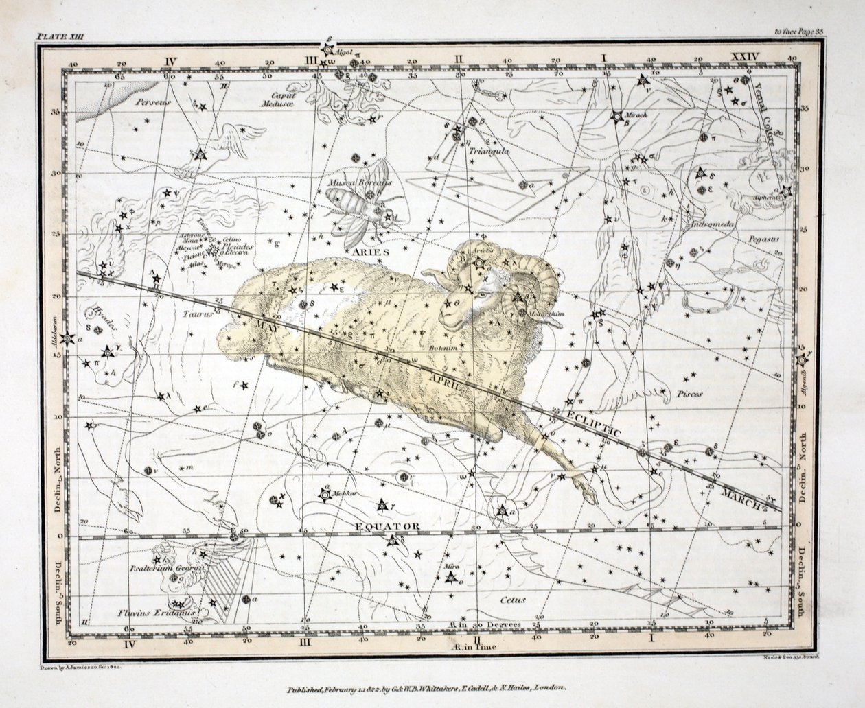 Constellations (levy XIII) Oinas ja Musca Borealis, Alexander Jamiesonin "A Celestial Atlas", pub. Lontoo 1822 (käsinvärinen kaiverrus) tekijältä Alexander Jamieson