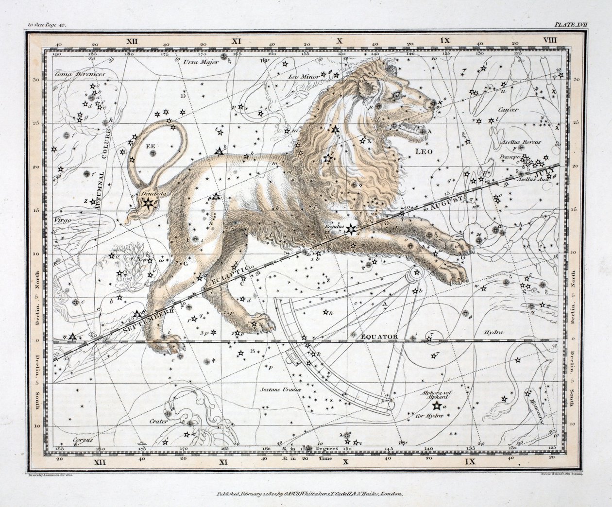 The Constellations (levy XVII) Leo, Alexander Jamiesonin teoksesta "A Celestial Atlas", pub. Lontoo 1822 (käsinvärinen kaiverrus) tekijältä Alexander Jamieson