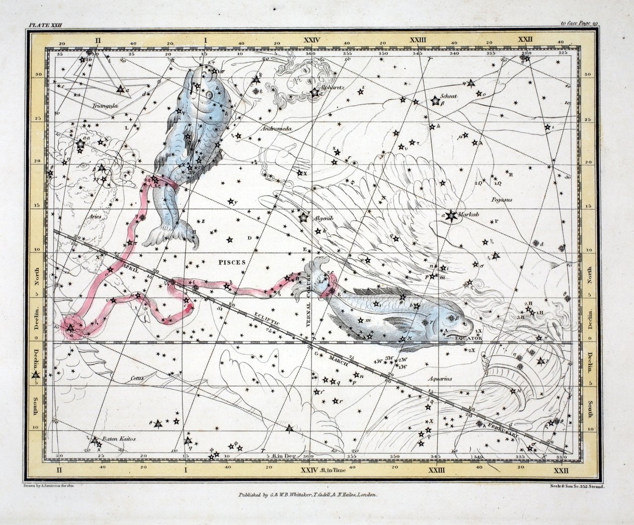 Tähtikuviot (kuva XXII) Kalat, Alexander Jamiesonin teoksesta "A Celestial Atlas", pub. Lontoo 1822 (käsin väritetty kaiverrus). tekijältä Alexander Jamieson