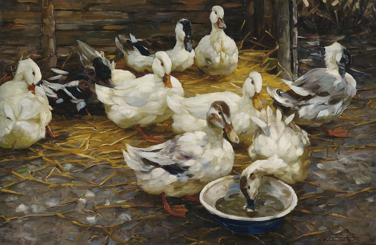 Enten im Stroh tekijältä Alexander Koester