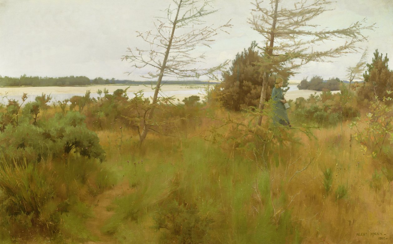 Polttopuiden kerääminen järven rannalla tekijältä Alexander Mann