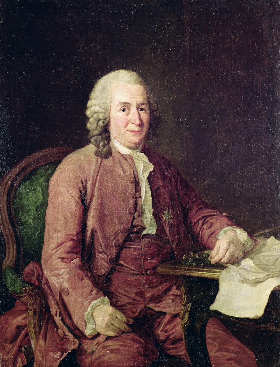 Carl von Linnaeuksen muotokuva (1707-78) tekijältä Alexander Roslin
