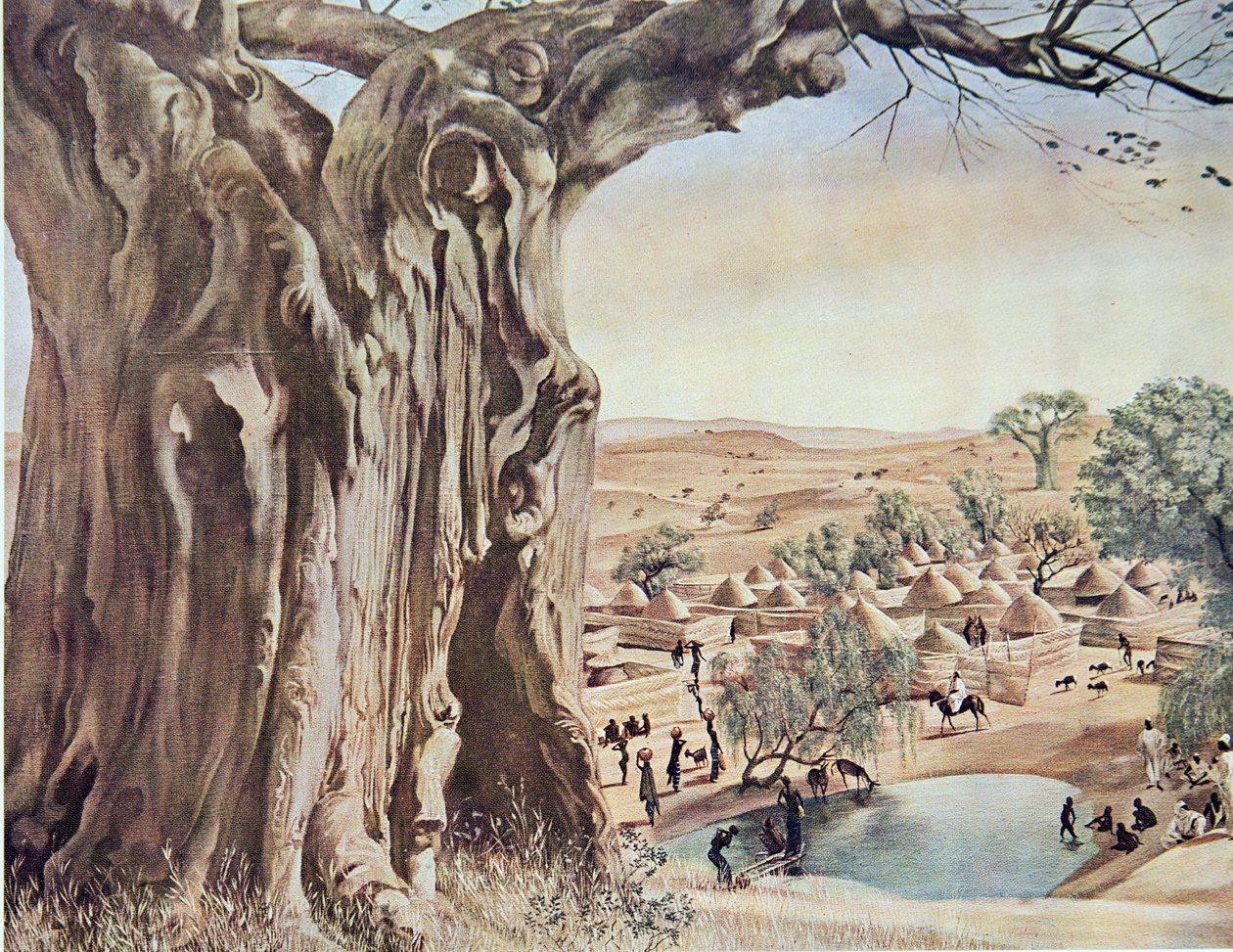 A Baobab (Sudan), teoksesta Dessins et Peintures d