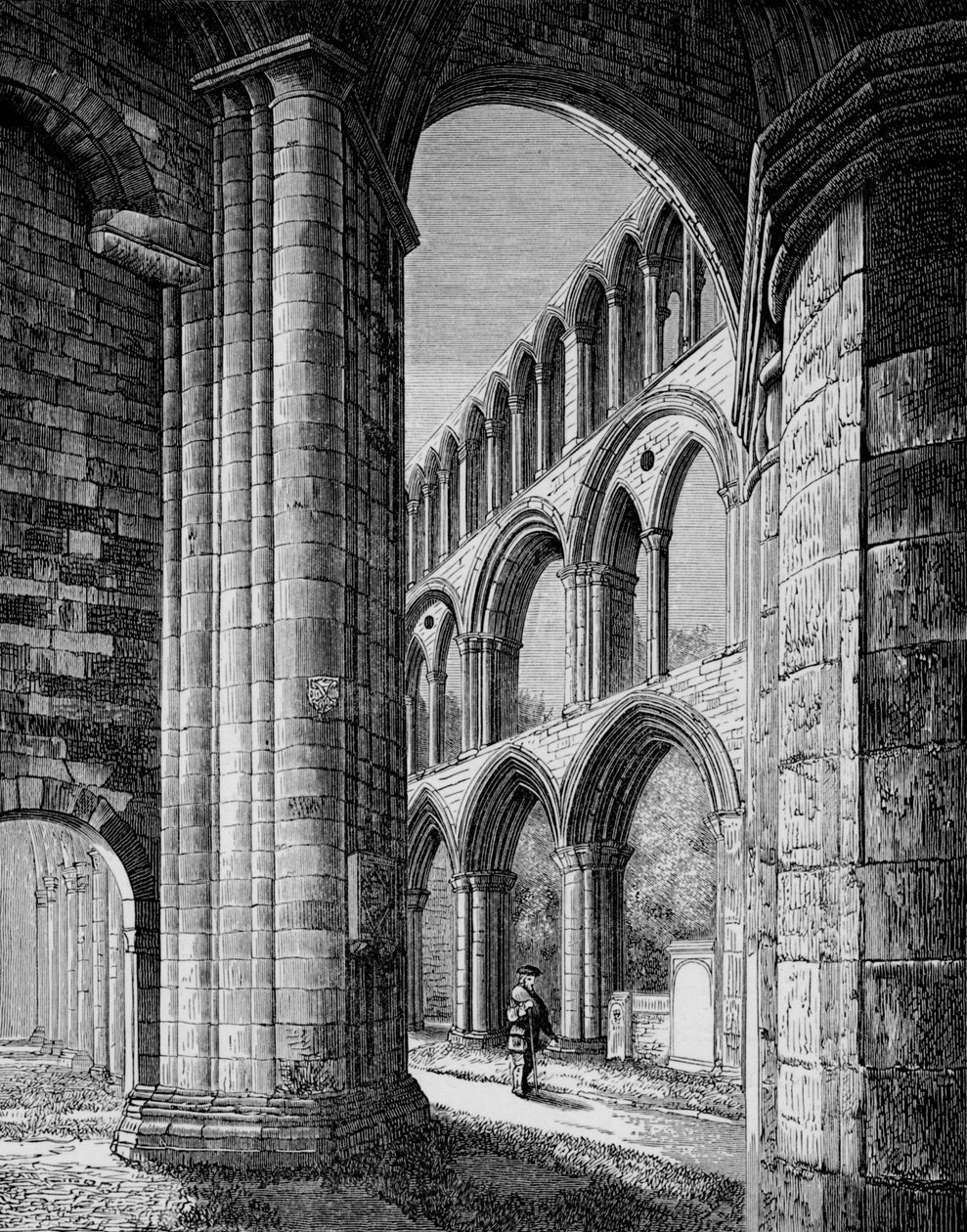 Nave, South Aisle, Jedburgh Abbey, c1880, 1897 tekijältä Alexander Francis Lydon