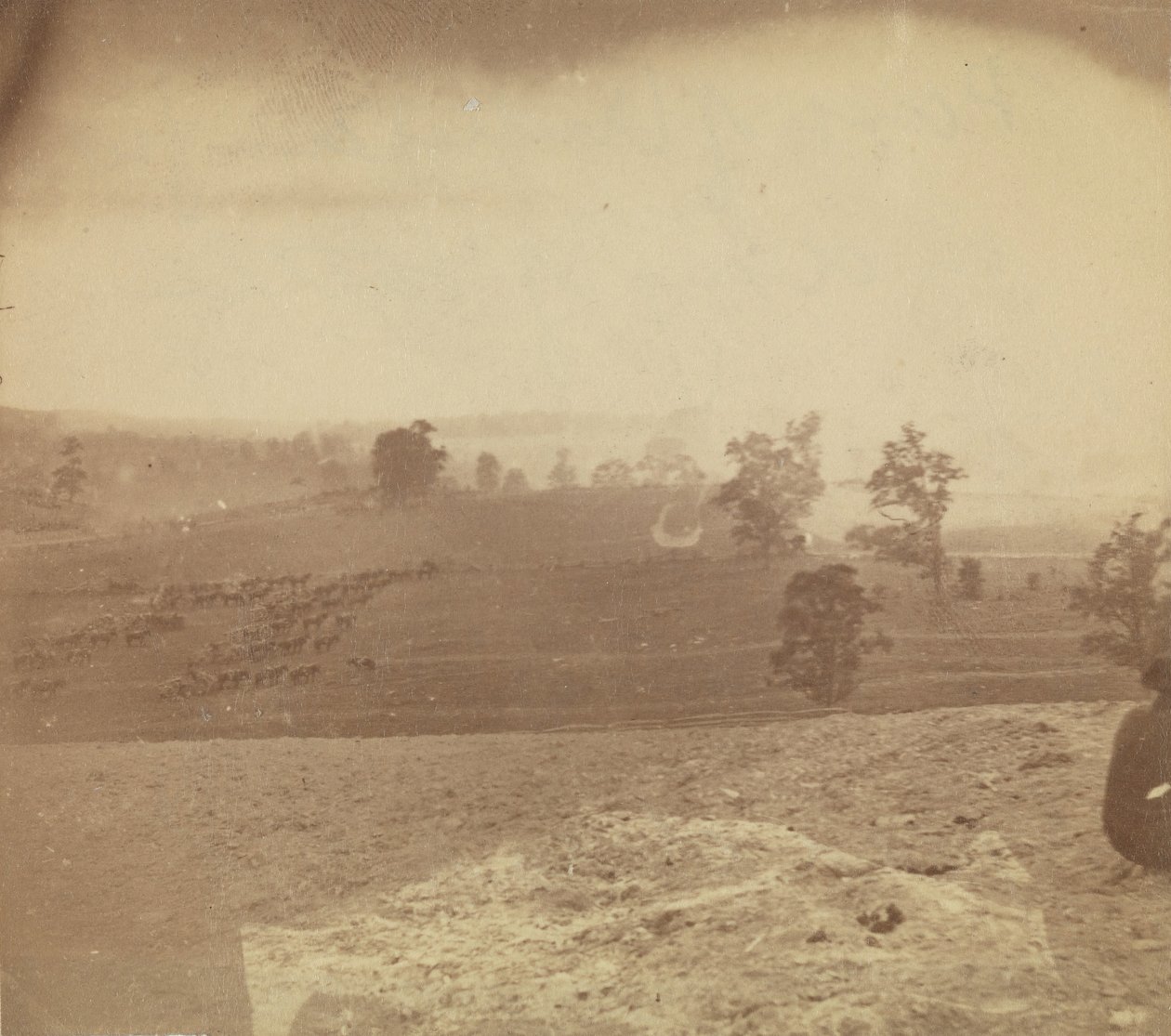 [Antietam Battlefield], 1862. tekijältä Alexander Gardner
