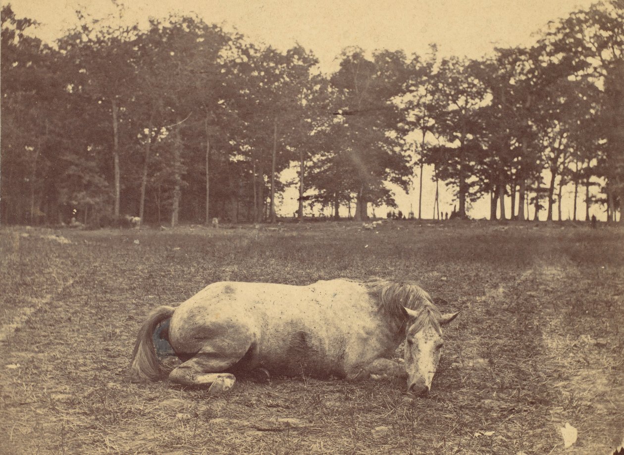 Is This Death - Antietam Battlefield, syyskuu 1862, 1862. tekijältä Alexander Gardner
