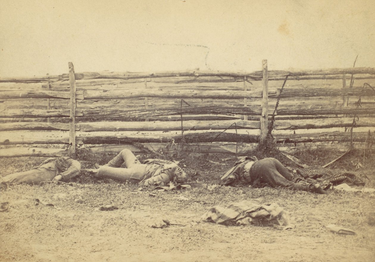 Näkymä kentällä, Hagerstown Roadin länsipuolella, Antietamin taistelun jälkeen, ..., 1862. tekijältä Alexander Gardner
