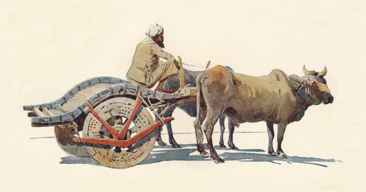 Bullock Cart, Jodhpur, c1880 1905. tekijältä Alexander Henry Hallam Murray