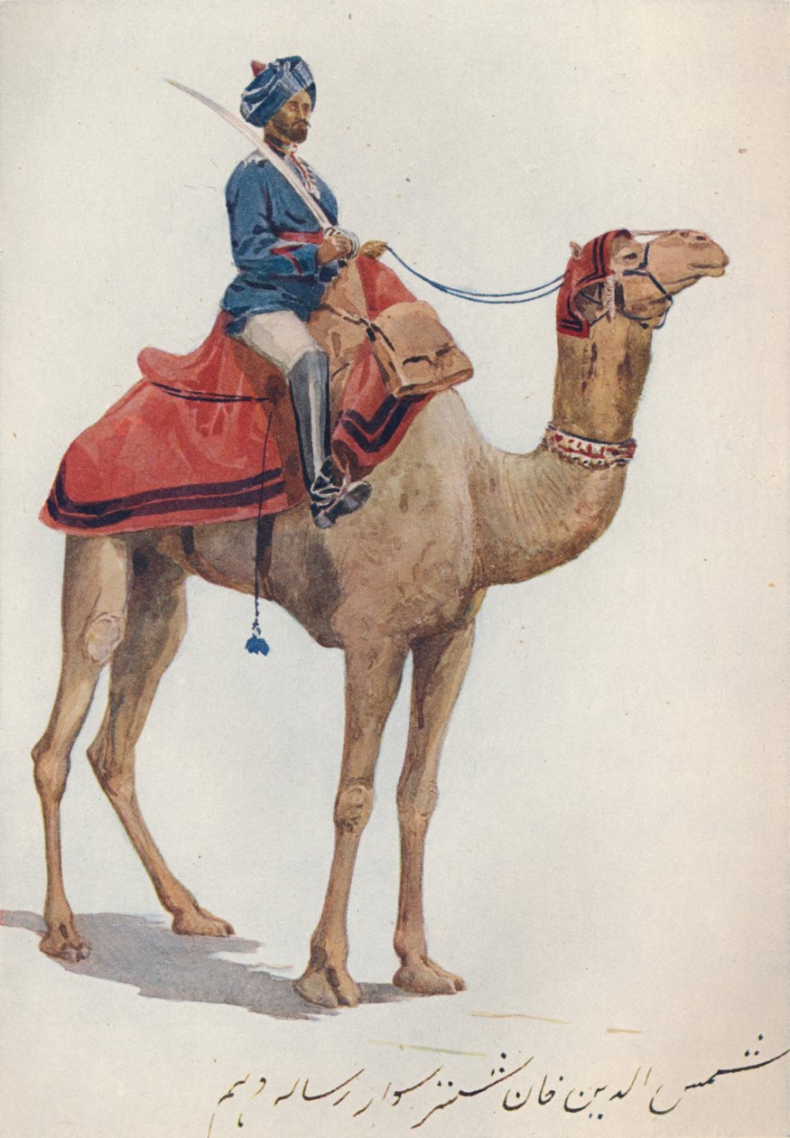 10. Bengal Lancersin kameli-sowar, n. 1880 1905. tekijältä Alexander Henry Hallam Murray
