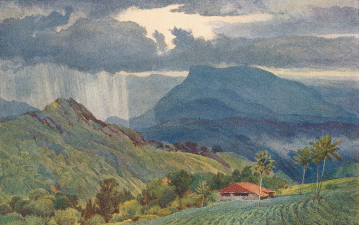 Trooppinen suihku, c1880 1905. tekijältä Alexander Henry Hallam Murray