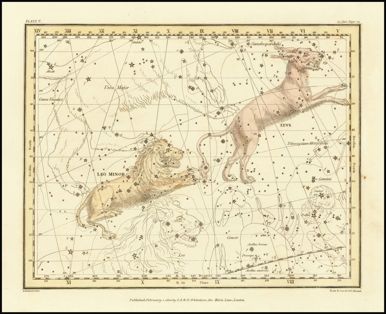 1822 - Alexander Jamieson - Lynx  Leo Minor (Lynx  Leo Minor) tekijältä Alexander Jamieson