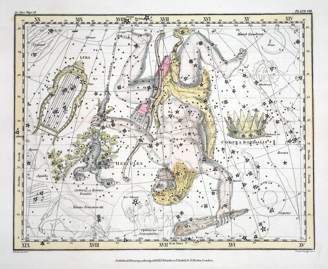 The Constellations (levy VIII) Corona Borealis, Hercules ja Cerberus, Lyra, Alexander Jamiesonin taivaallisen atlasista, pub. Lontoo 1822 (käsinvärinen kaiverrus) tekijältä Alexander Jamieson