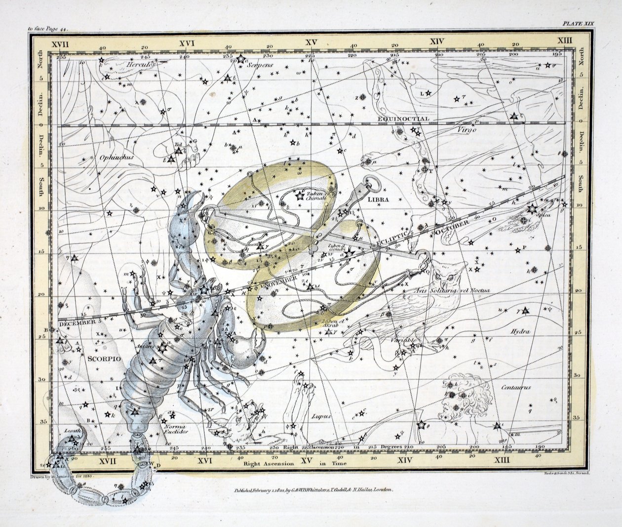 Tähtikuviot (levy XIX) Vaaka ja Skorpioni, Alexander Jamiesonin julkaisemasta "A Celestial Atlas", pub. Lontoo 1822 (käsin väritetty kaiverrus). tekijältä Alexander Jamieson