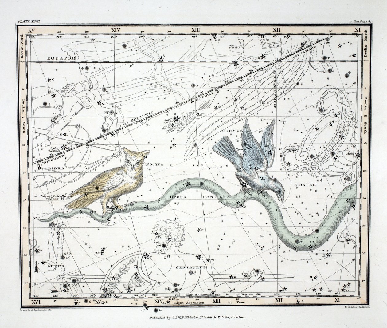 Constellations (levy XXVII) Hydra Continua, Crater, Covus, Centaurus et Lupus, Alexander Jamiesonin kirjasta "A Celestial Atlas", pubi. Lontoo 1822 (käsinvärinen kaiverrus) tekijältä Alexander Jamieson