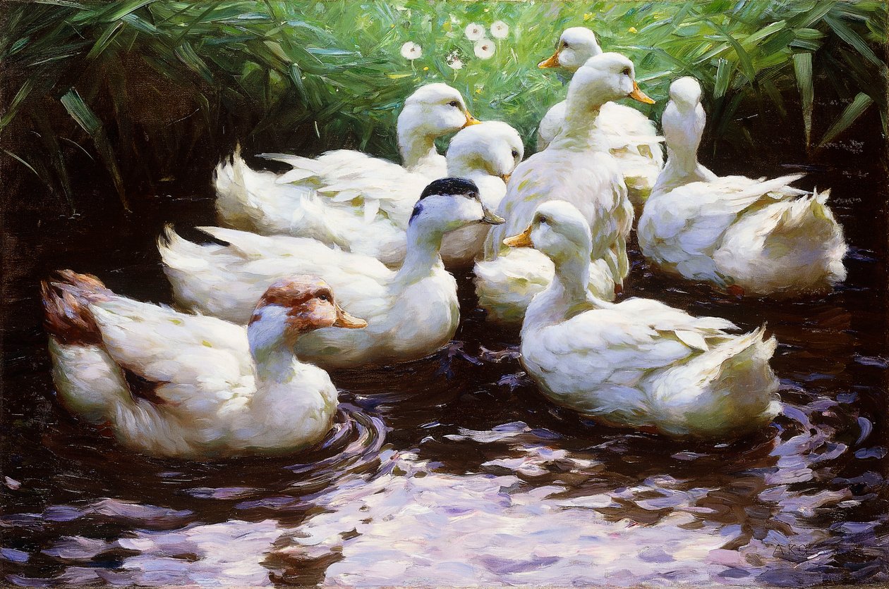Ashore (Ducks) tekijältä Alexander Koester
