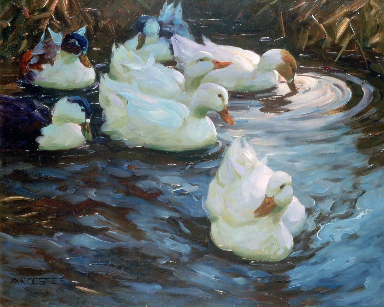 Ducks on a Pond, c1884-1932 tekijältä Alexander Koester