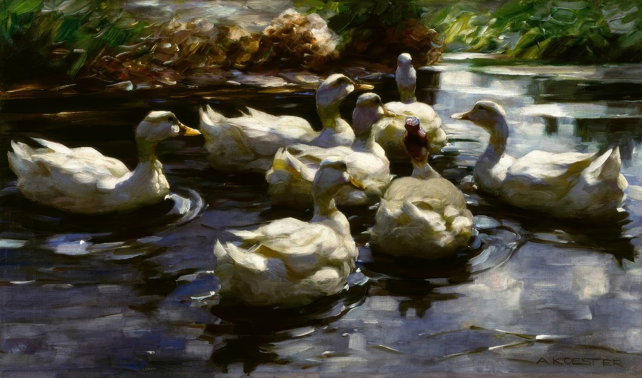 A. Koester, Enten im Teich tekijältä Alexander Köster