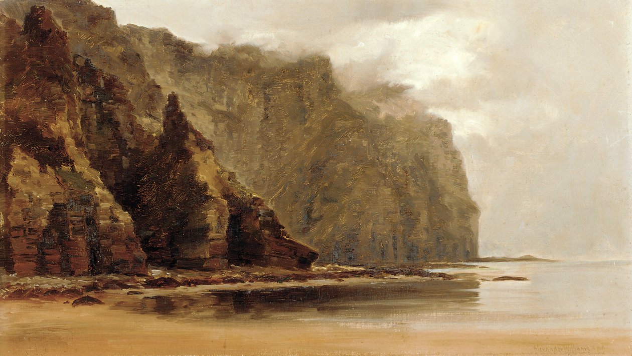 Minaun Cliffs, Achill Island, County Connacht, Irlanti (öljy kankaalle) tekijältä Alexander Williams