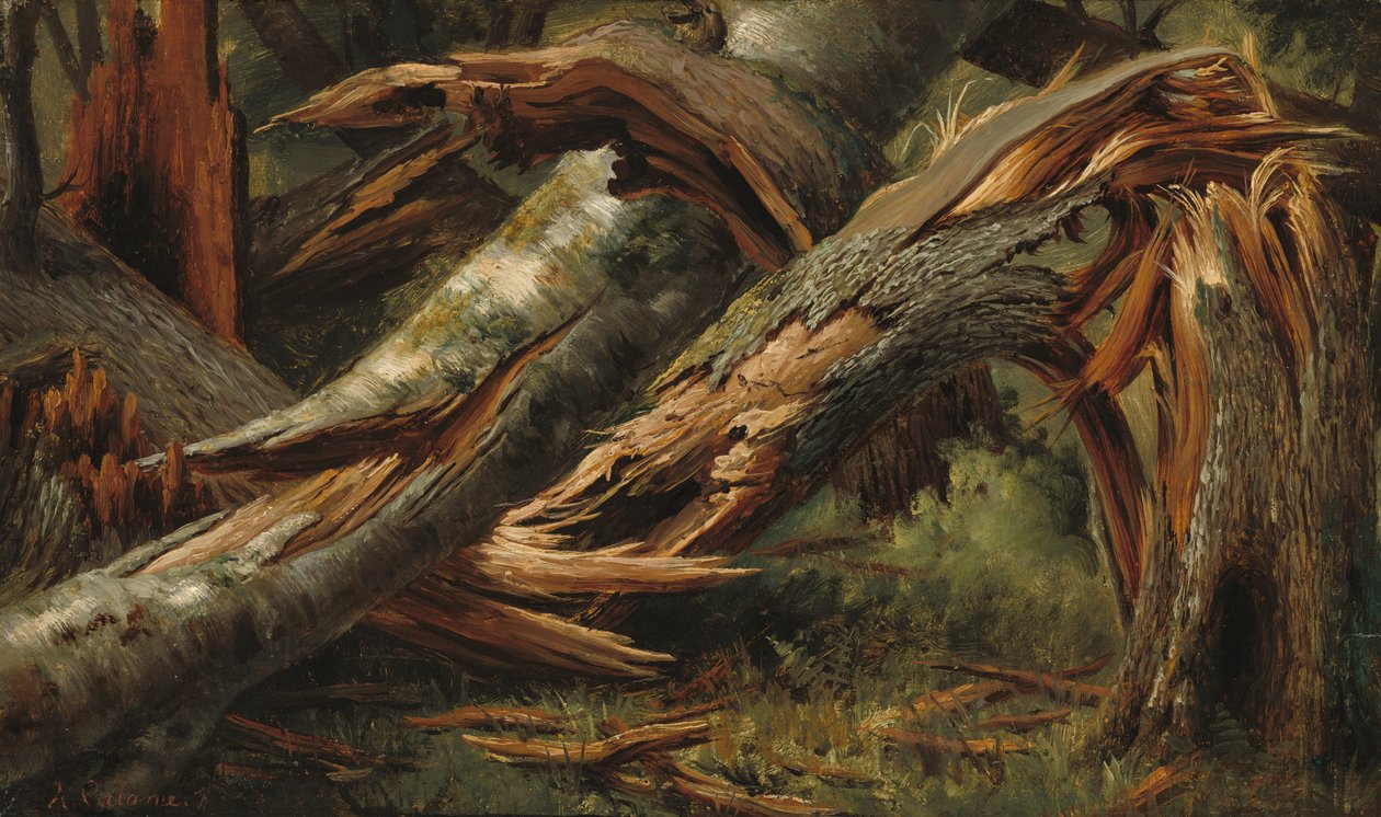 Kaatunut puu tekijältä Alexandre Calame