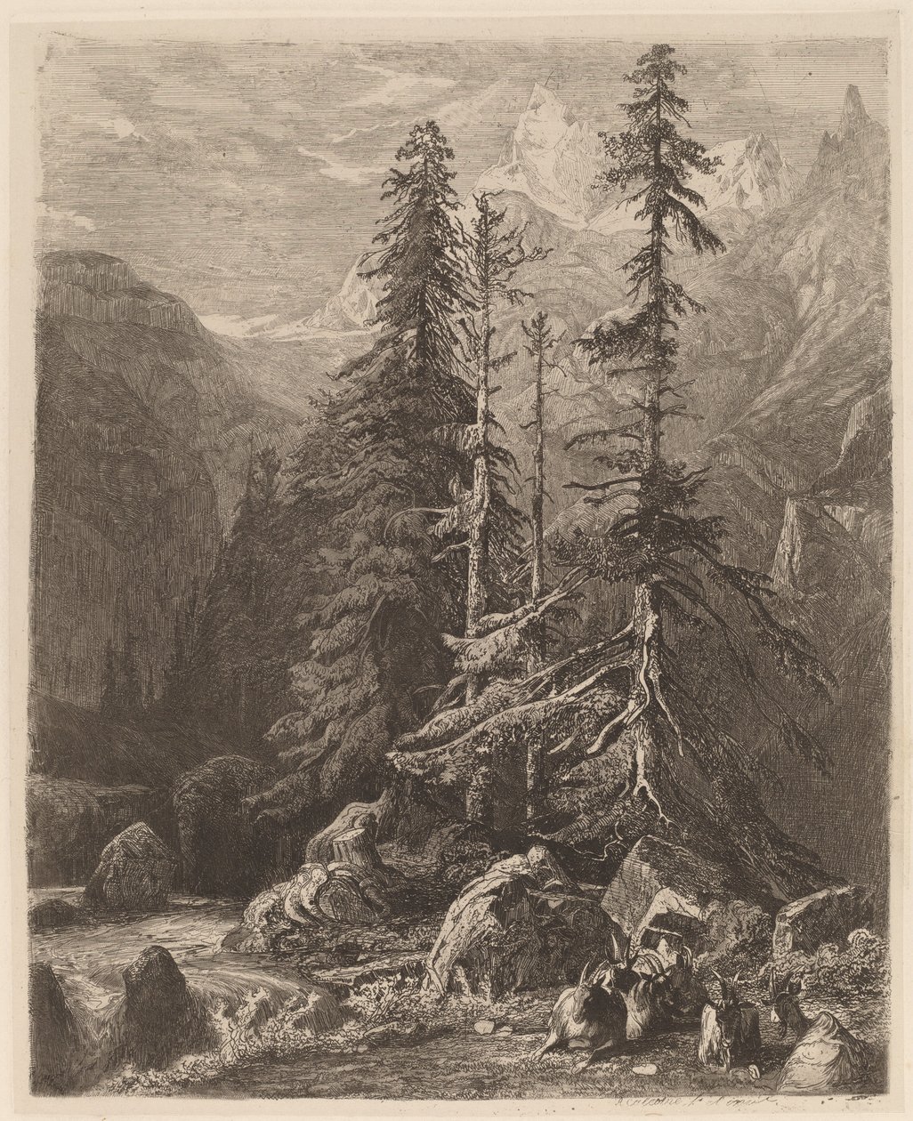 Alexandre Calamen etsauksen kokeet, I, pl. 21 tekijältä Alexandre Calame