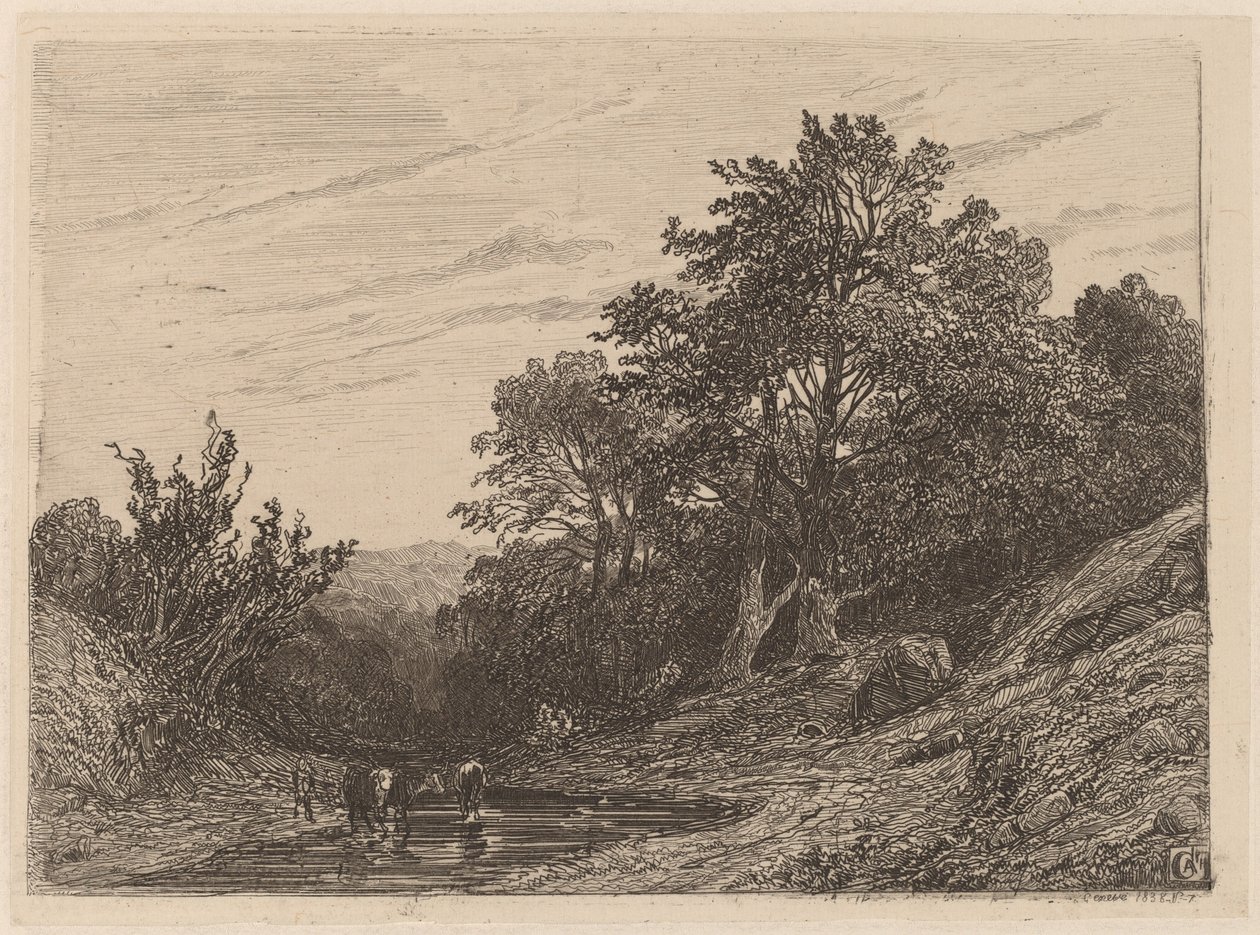 Lauma virrassa tekijältä Alexandre Calame