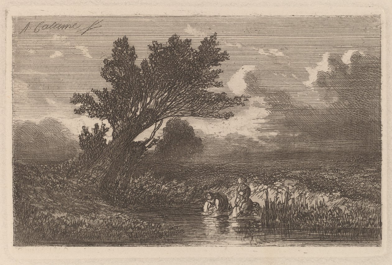Pesuvaatteet tekijältä Alexandre Calame