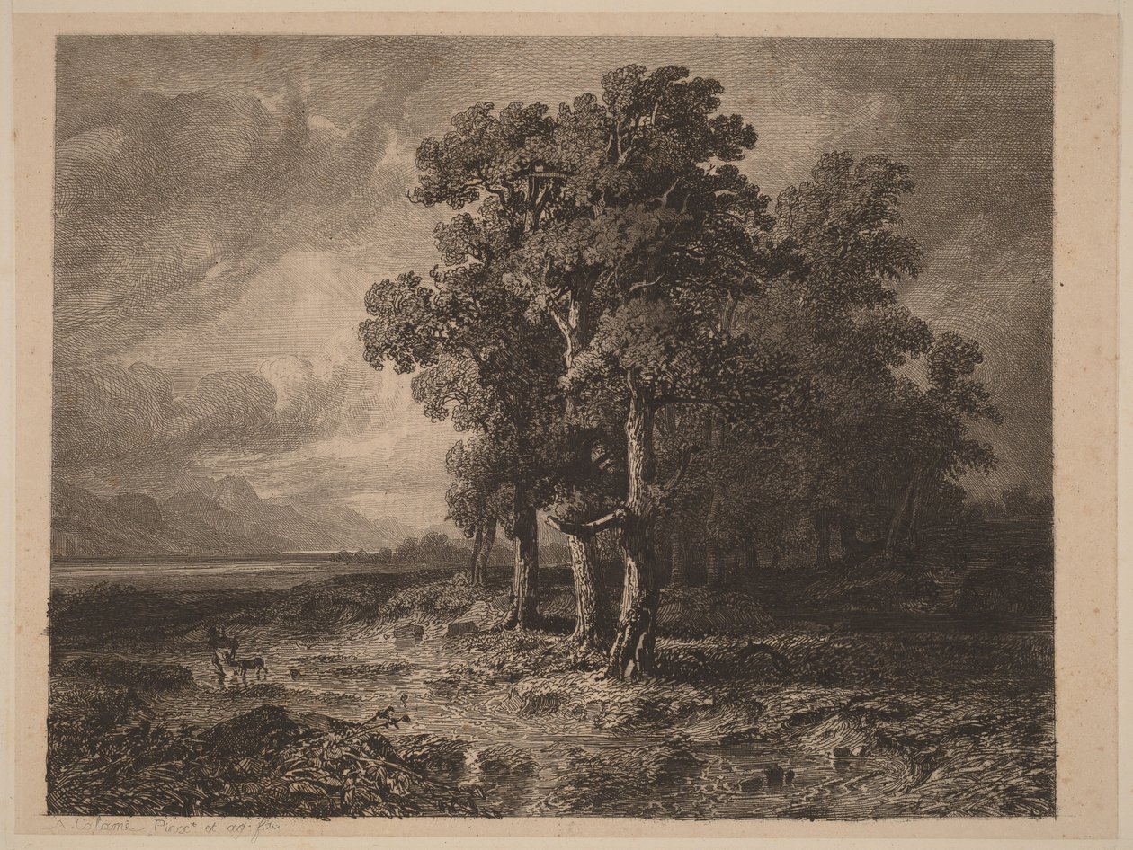 Puita myrskyssä tekijältä Alexandre Calame