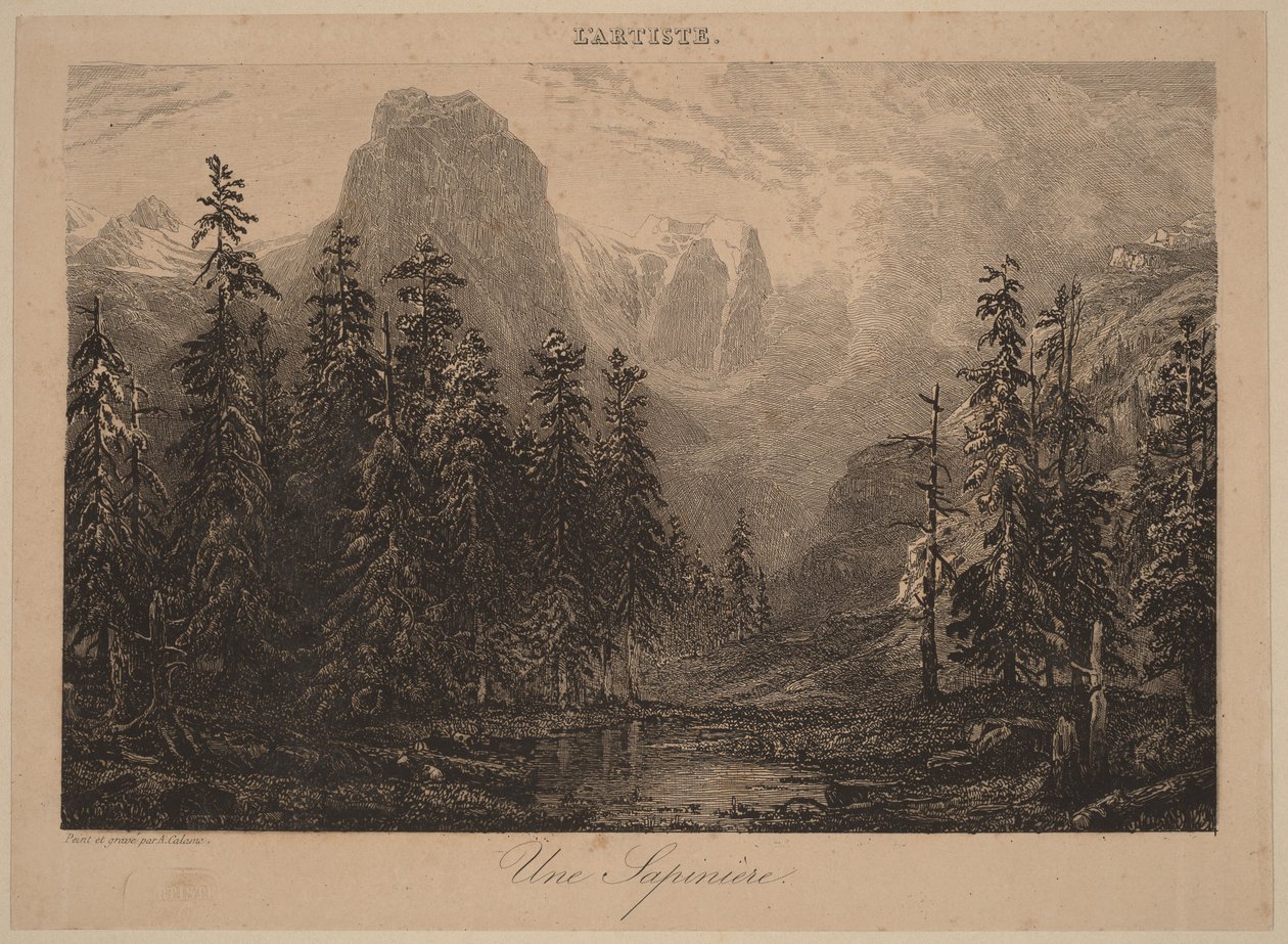 Mäntymetsä tekijältä Alexandre Calame