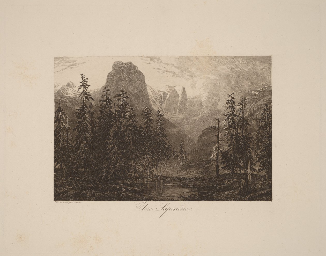Mäntymetsä tekijältä Alexandre Calame