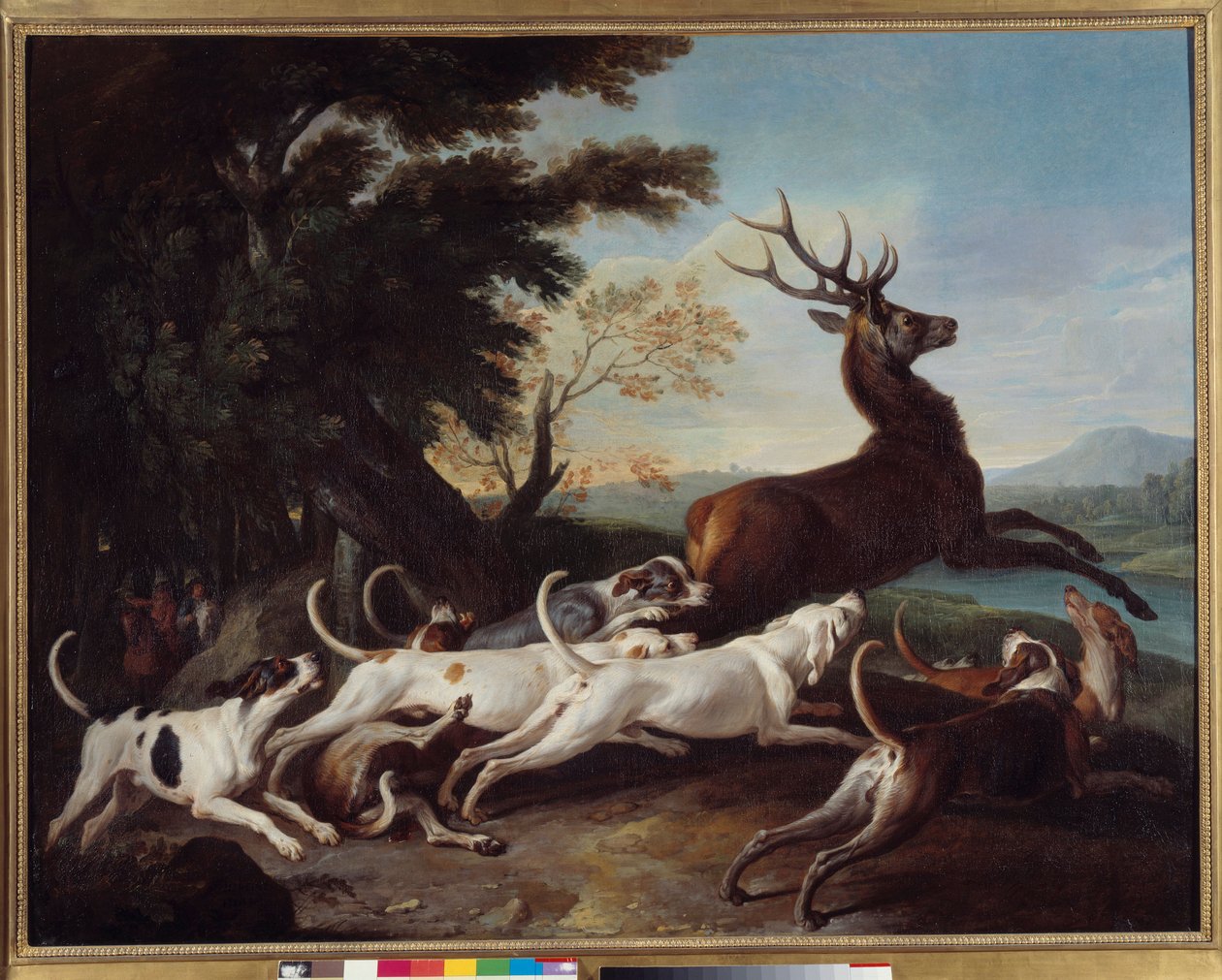 Metsästys: "" Debuche du deer"" François Desportesin (1661-1743) maalaus 1718 Su. 1,1 x 1,45 m Rouen, Kuvataidemuseo tekijältä Alexandre Francois Desportes