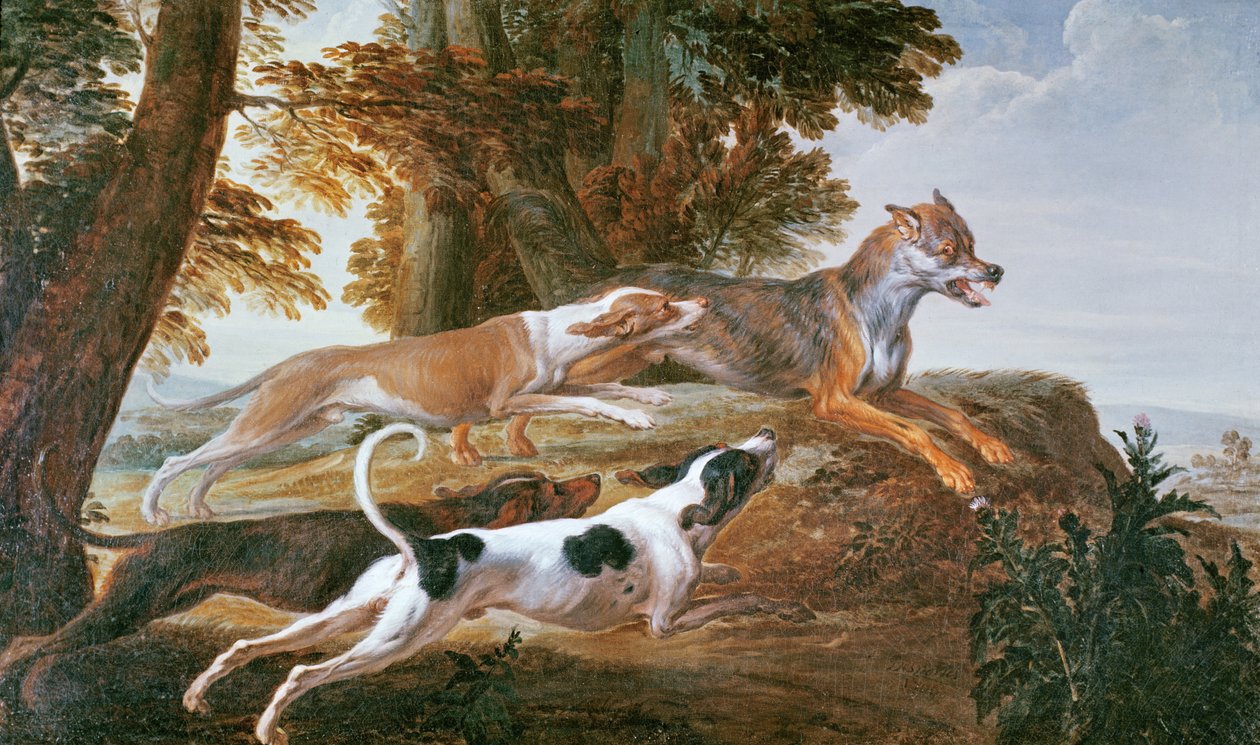 Susimetsästys, noin 1720 tekijältä Alexandre Francois Desportes