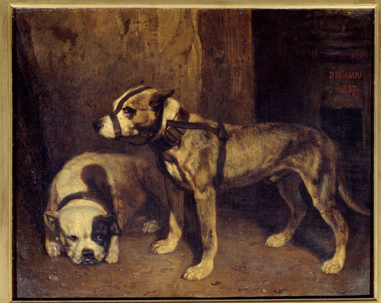 Alexandre Gabriel Decamps (1803-1860) 1800-luvun Sun. Skotlanninbulldoggi- ja terrierimaalaus. 1,04x1,34 m tekijältä Alexandre Gabriel Decamps