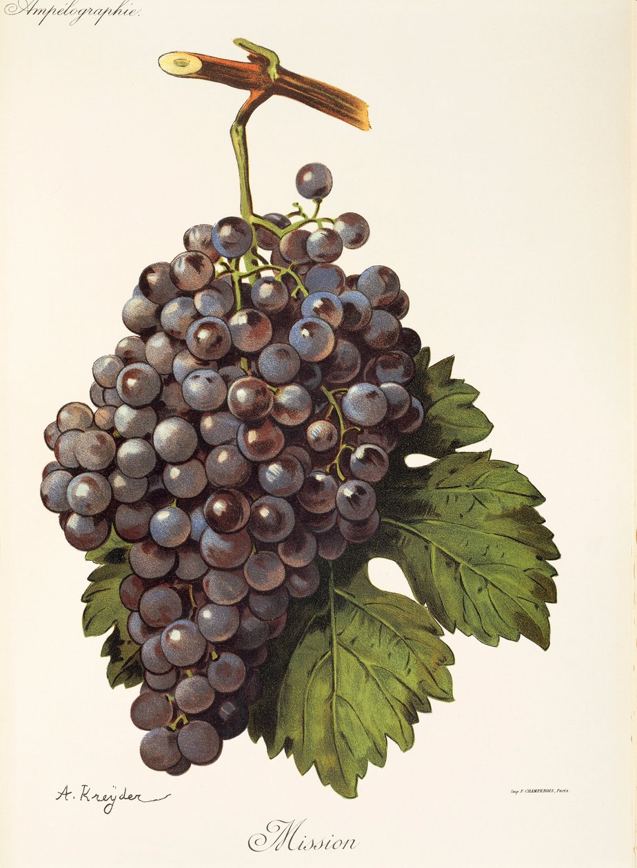 Mission grape by A. Kreyder tekijältä Alexis Kreyder