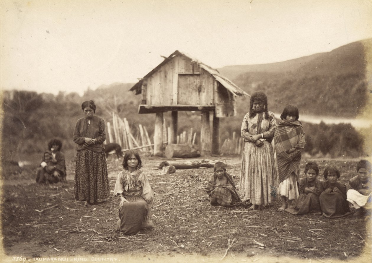 Taumarunui - King Country, 29. toukokuuta 1885 (albumiprintti) tekijältä Alfred Burton