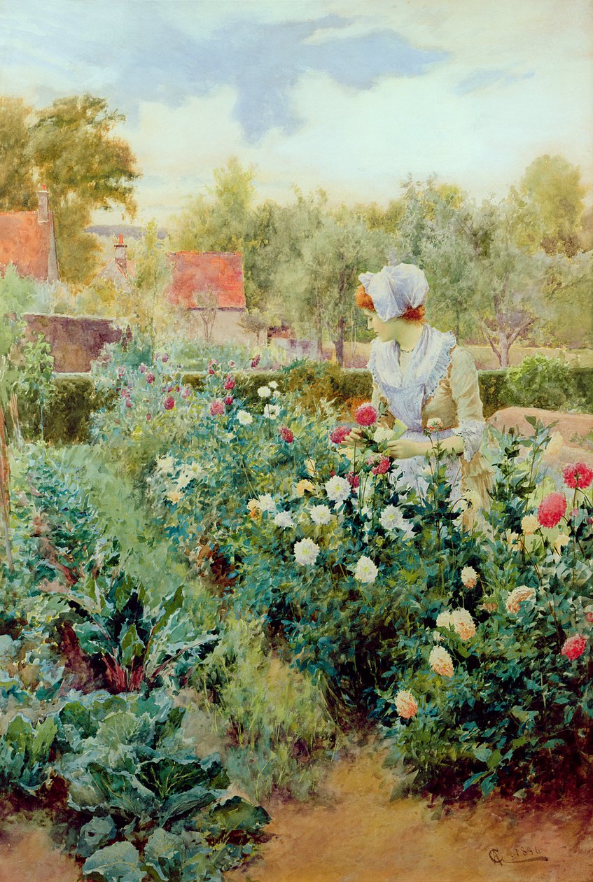 Daaliat, 1896 tekijältä Alfred, Jr. Glendening