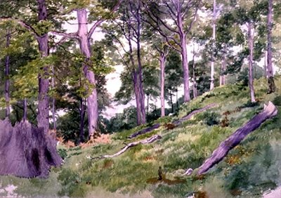 Selvitys metsässä lähellä Ludlowia, 1800-luku tekijältä Alfred Nichols