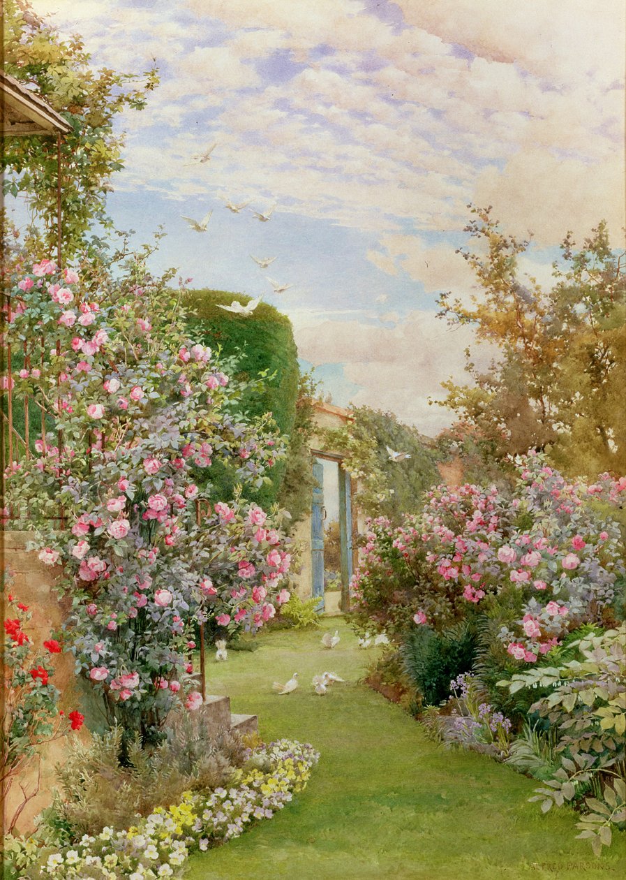 China Roses, Broadway tekijältä Alfred Parsons