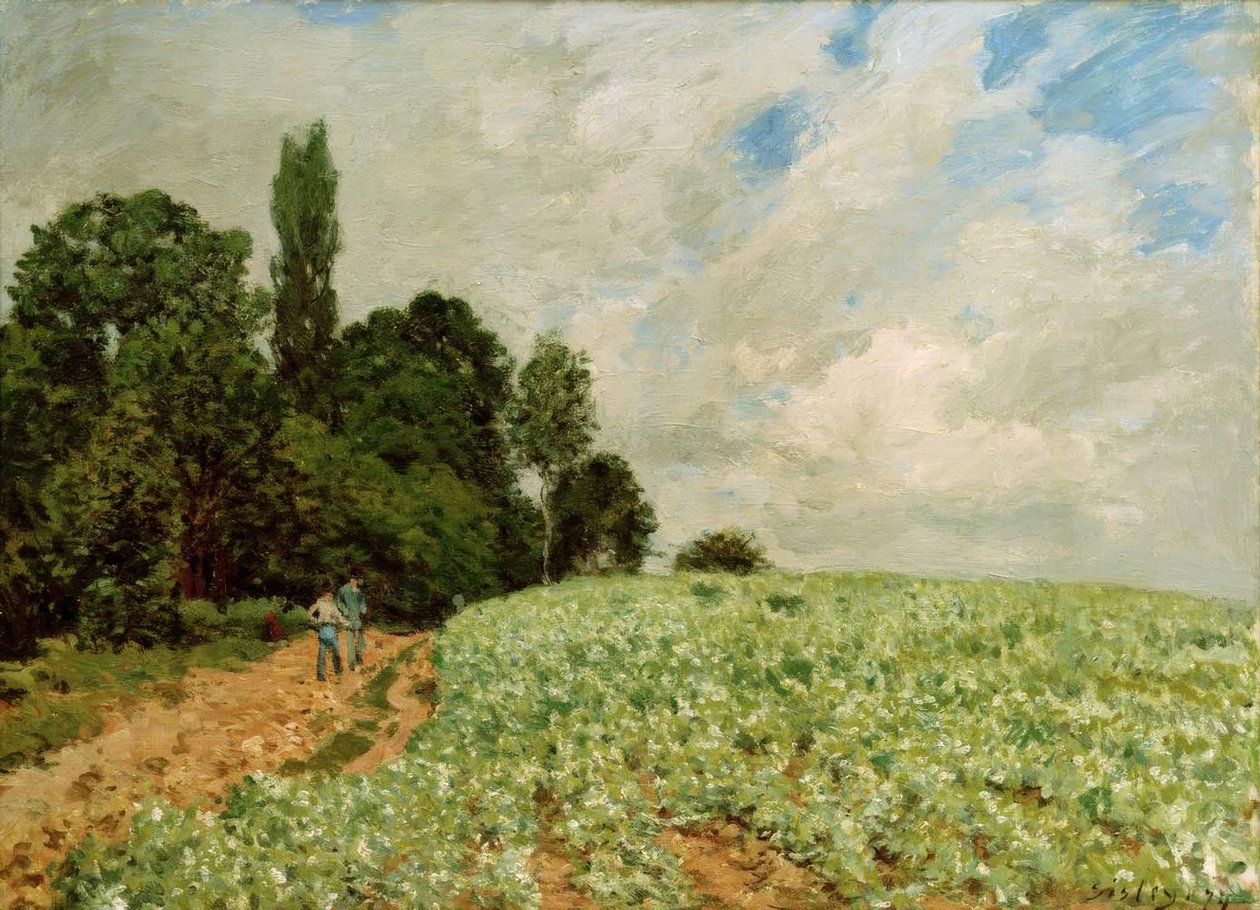 Le Champ de Trèfle tekijältä Alfred Sisley