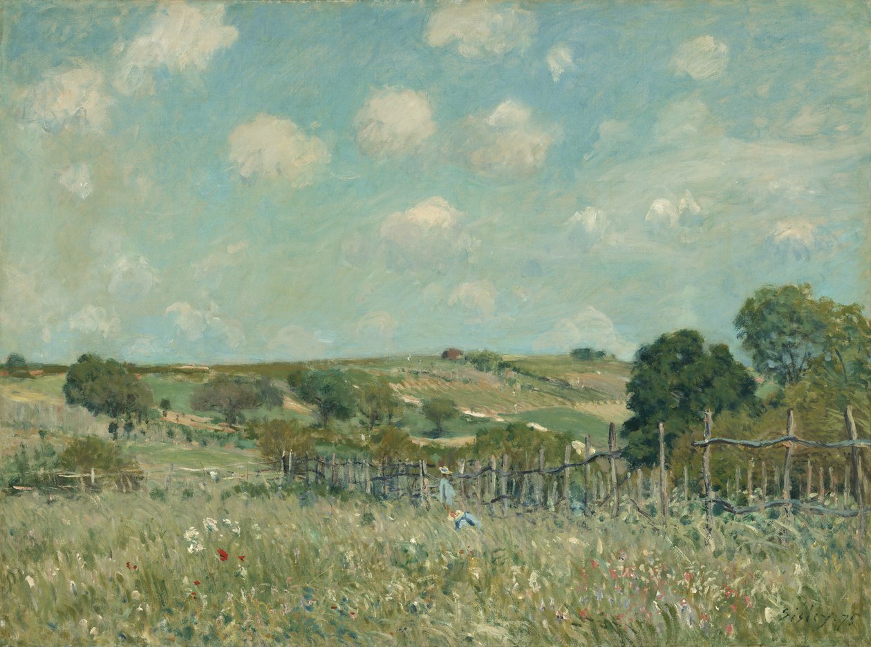 Niitty, 1875 tekijältä Alfred Sisley