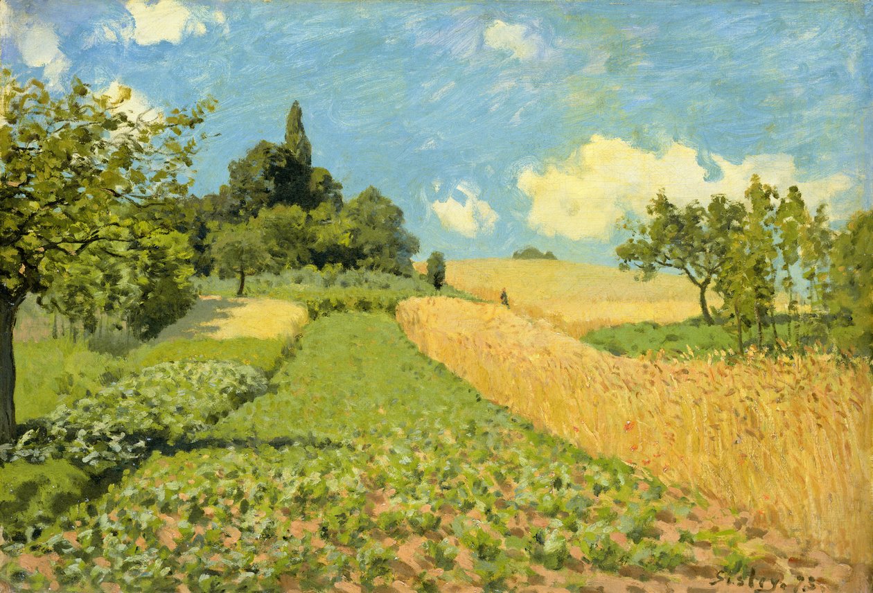 Cornfield (lähellä Argenteuilia) tekijältä Alfred Sisley
