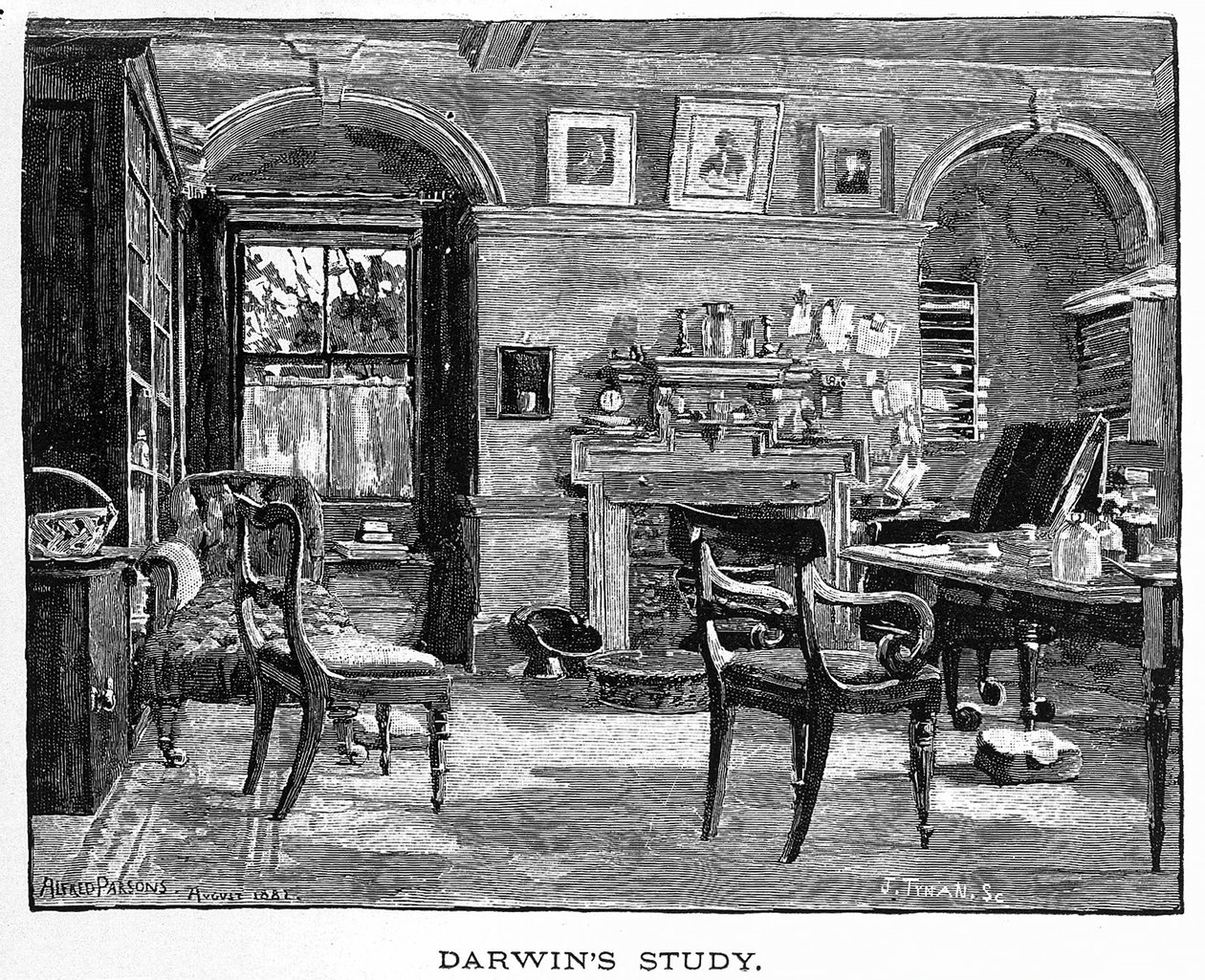 Darwinin tutkimus Charles Darwinilta, hänen elämänsä ja työnsä, pub. 1891 (puukaiverrus) tekijältä Alfred (after) Parsons