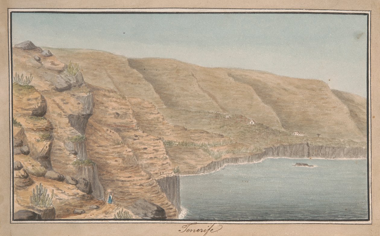 Näkymä La Rambla de Castrolle lähellä Port Orotavaa, Teneriffa tekijältä Alfred Diston