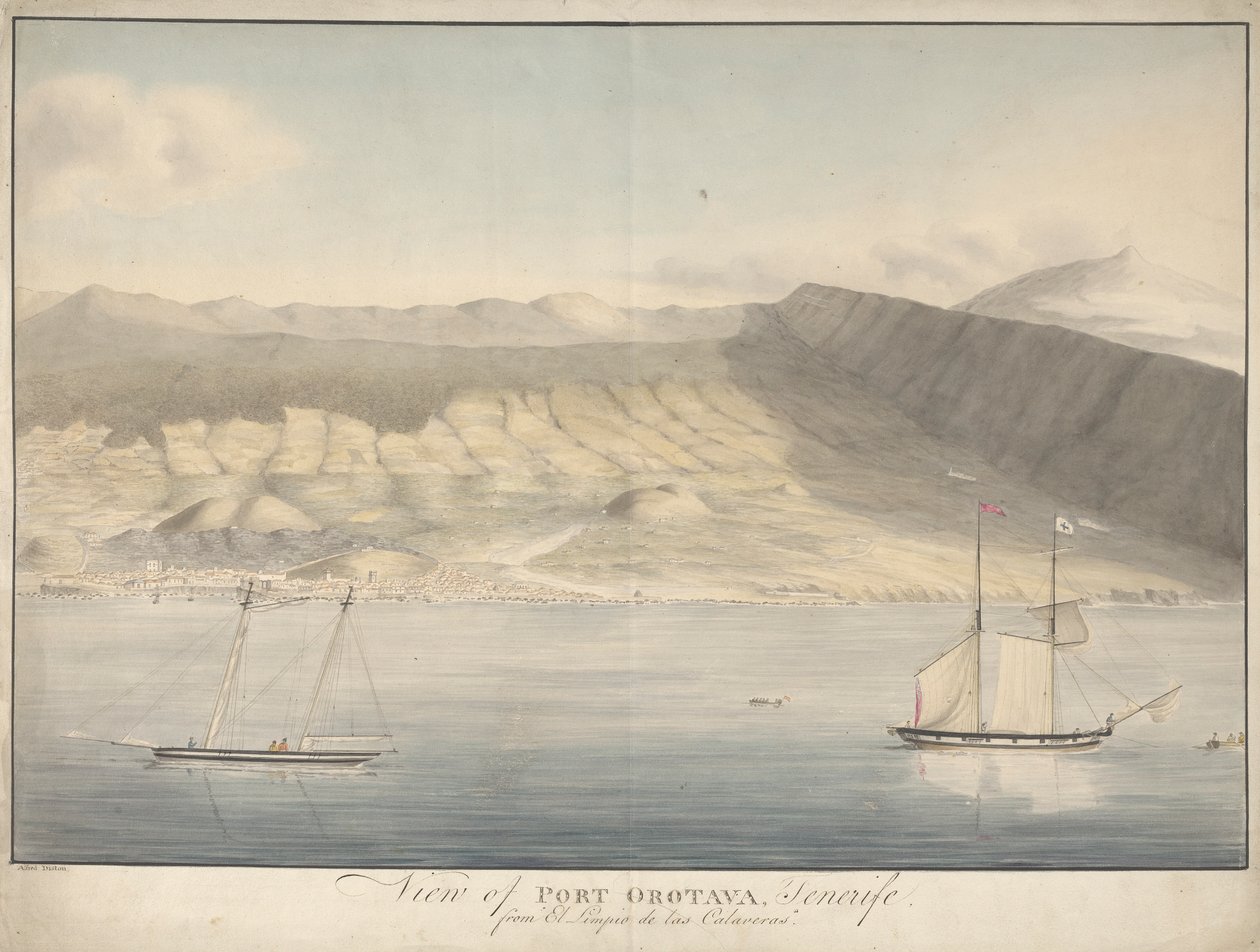 Näkymä Port Orotavaan, Teneriffalle, El Limpio de Las Calaverasista tekijältä Alfred Diston