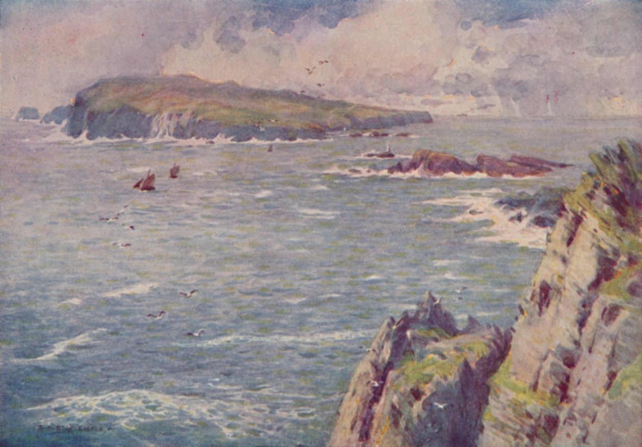 Ihmisen vasikka, 1910 tekijältä Alfred Heaton Cooper