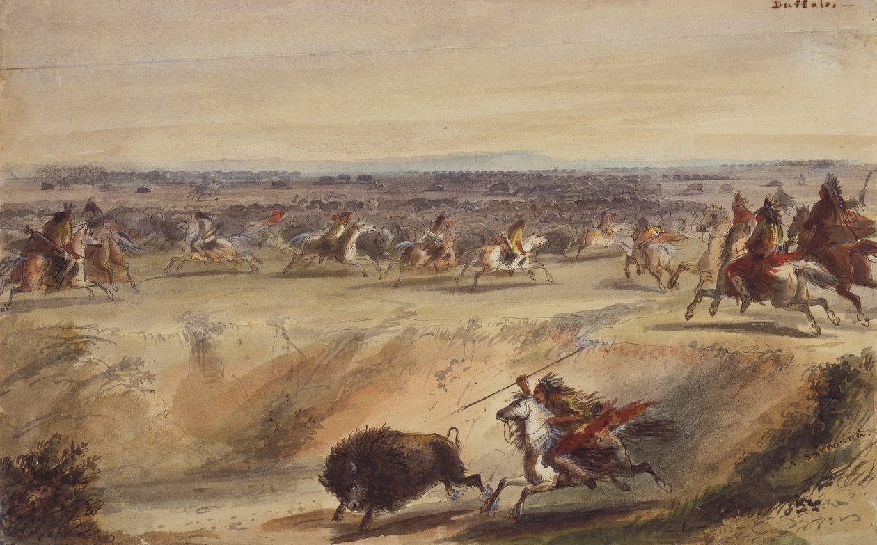A Surround or Hunting the Buffalo, n. 1839 (lyijykynä, kynä ja muste, akvarelli ja guassi paperille) tekijältä Alfred Jacob Miller