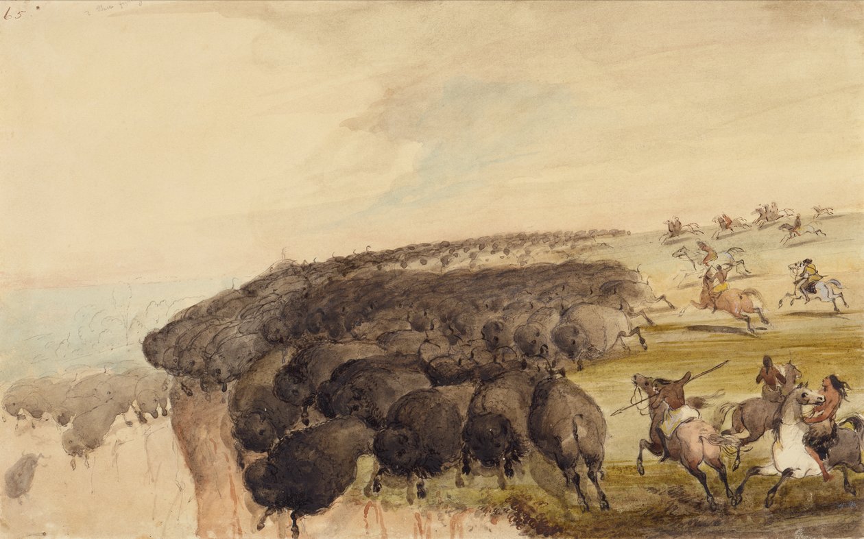 Driving Herds of Buffalo over a Precipice, n. 1837 (lyijykynä, kynä ja muste ja akvarelli paperille) tekijältä Alfred Jacob Miller
