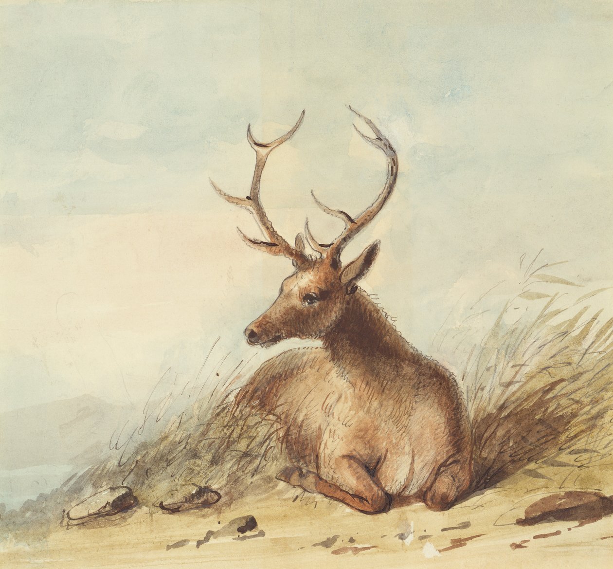 Hirvi, Kalliovuoret, n. 1837 (lyijykynä, kynä ja muste ja akvarelli paperille) tekijältä Alfred Jacob Miller