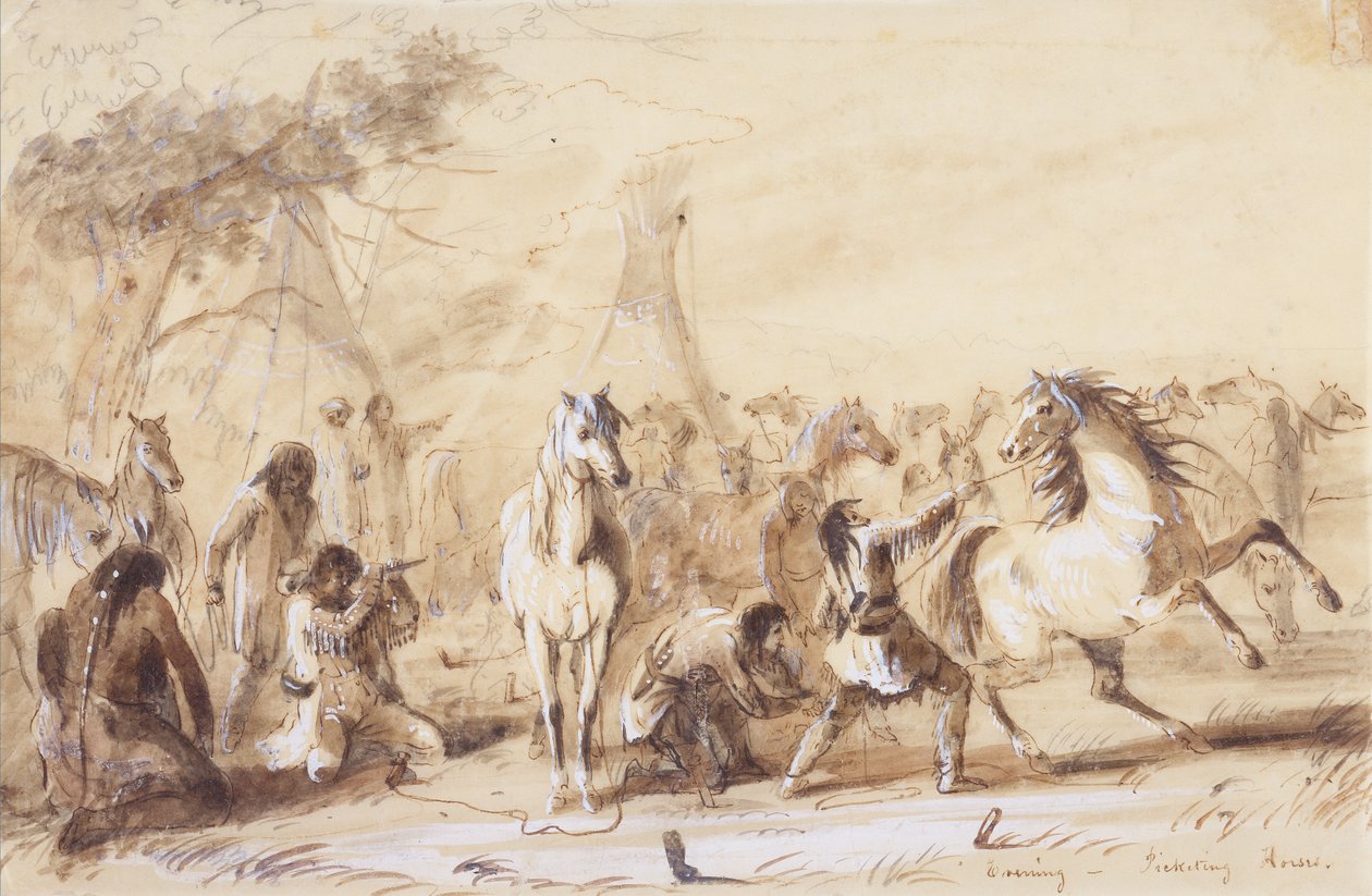 Ilta, Pikettihevoset, n. 1837 (lyijykynä, pesu ja guassi paperille) tekijältä Alfred Jacob Miller